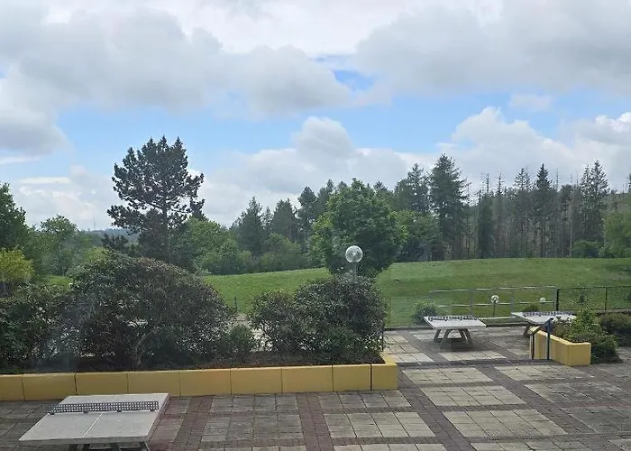 Апартаменты Charmante 521 Mit Pool, Sauna & Wunderschoener Aussicht In Braunlage-hohegeiss Браунлаге